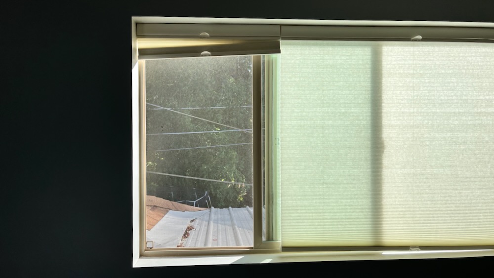 morning backyard through bedroom window - 01