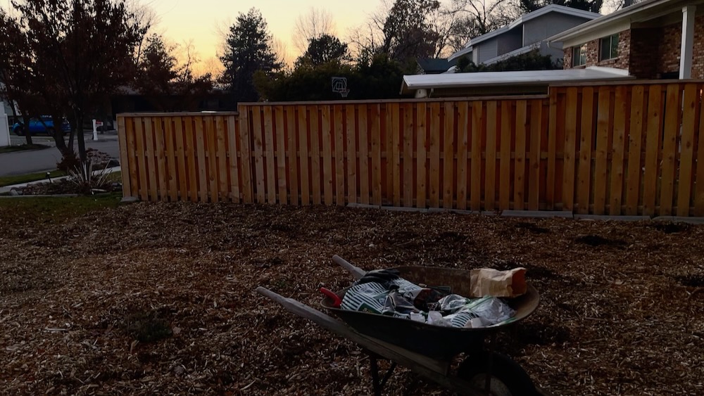 New Year&rsquo;s Day 2024 Seed Planting -02